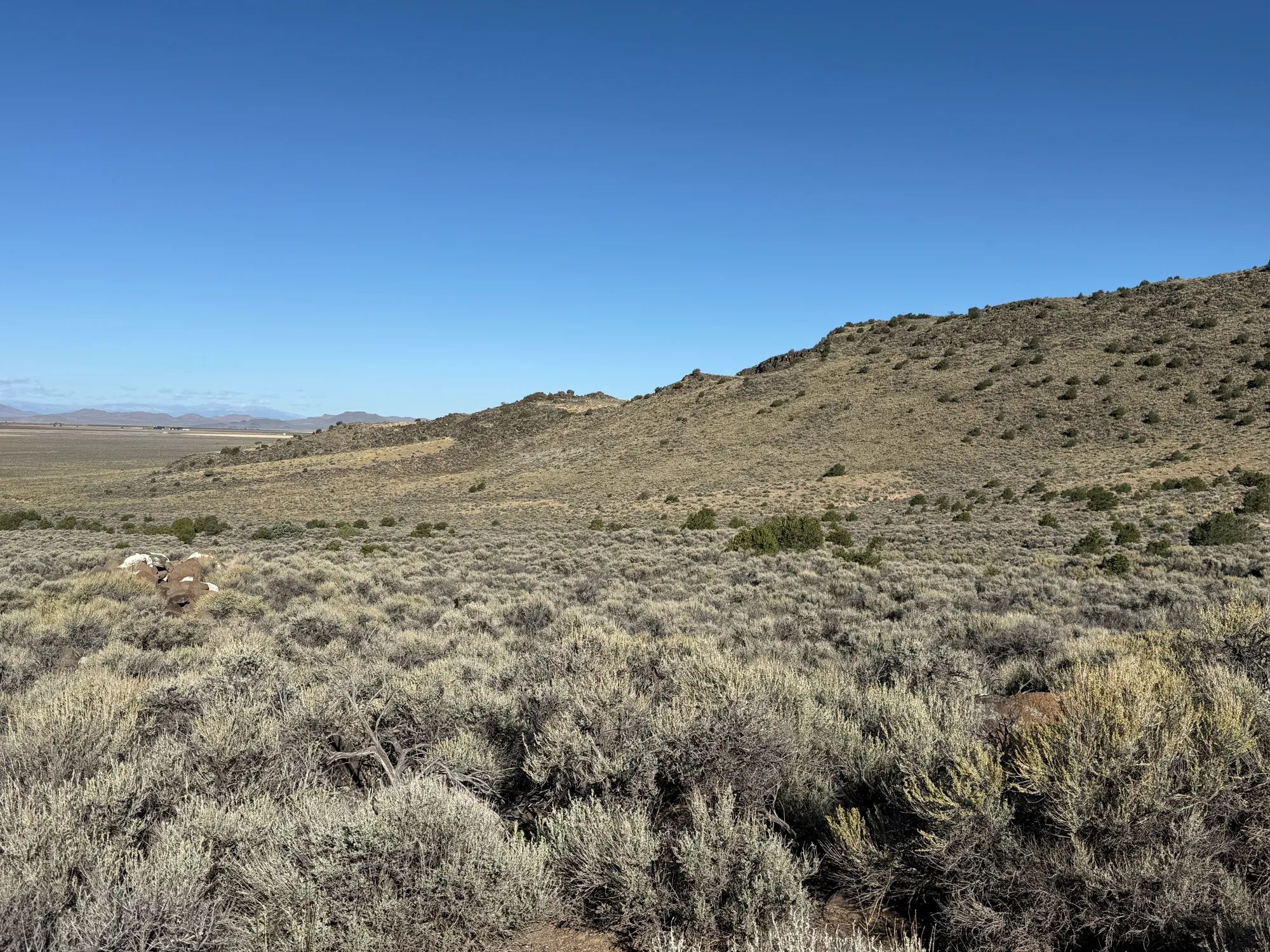 3.3 Acres on Wild Horse Mesa in Costilla County, CO