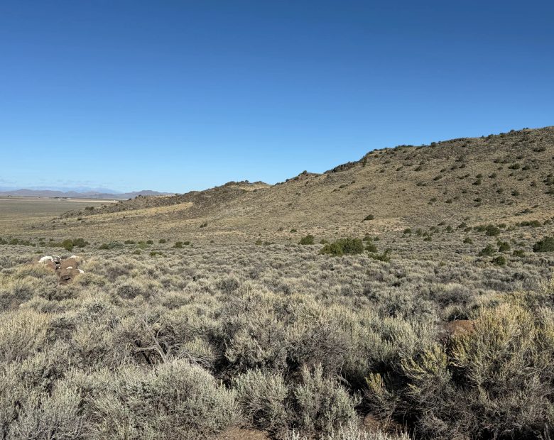 3.3 Acres on Wild Horse Mesa in Costilla County, CO