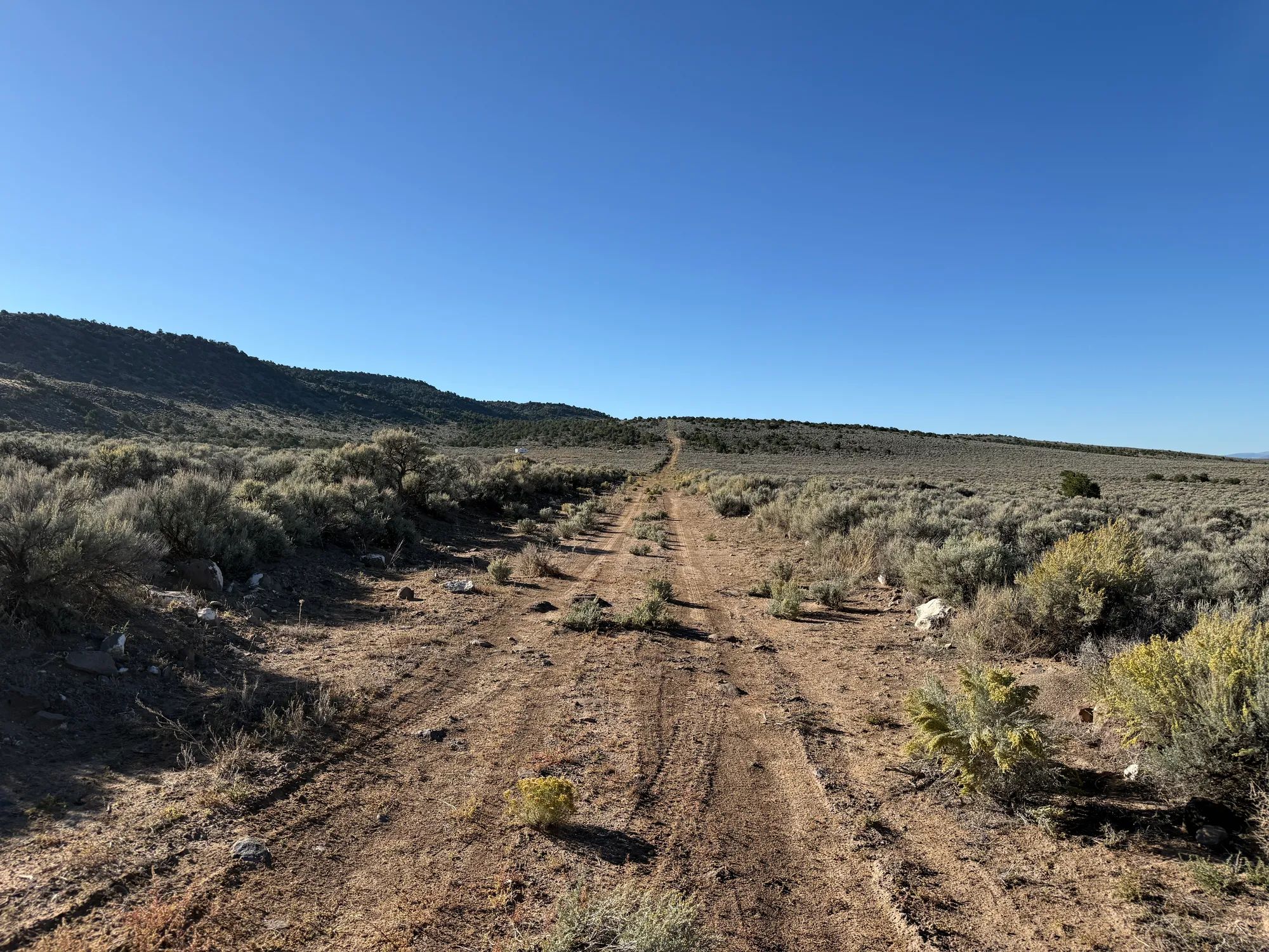 3.3 Acres on Wild Horse Mesa in Costilla County, CO