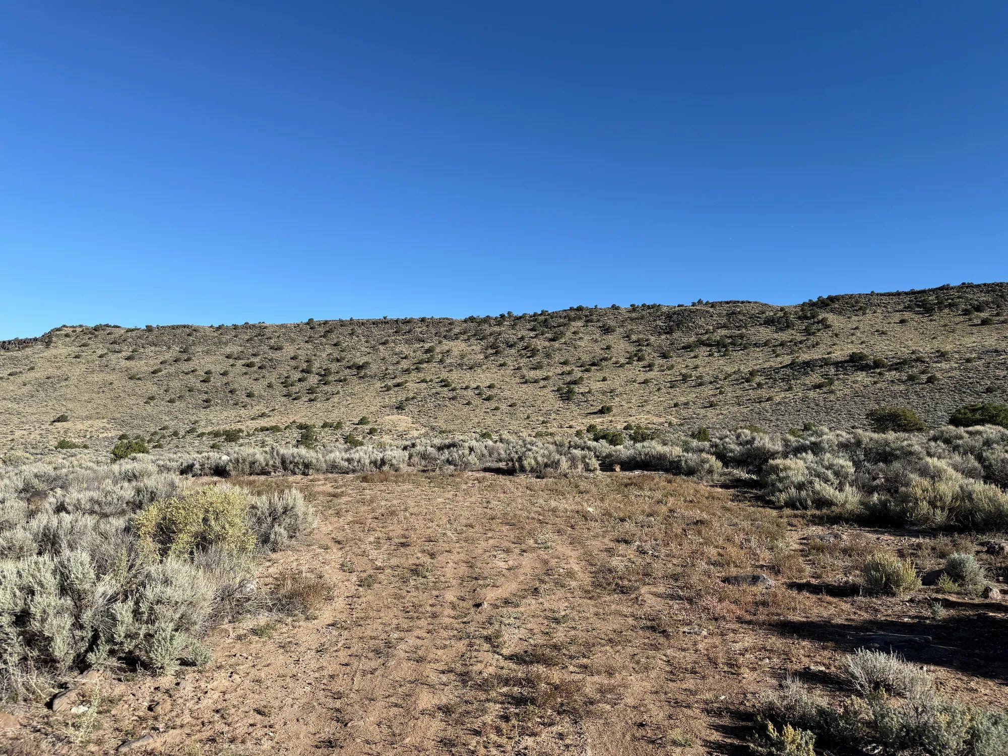 3.3 Acres on Wild Horse Mesa in Costilla County, CO