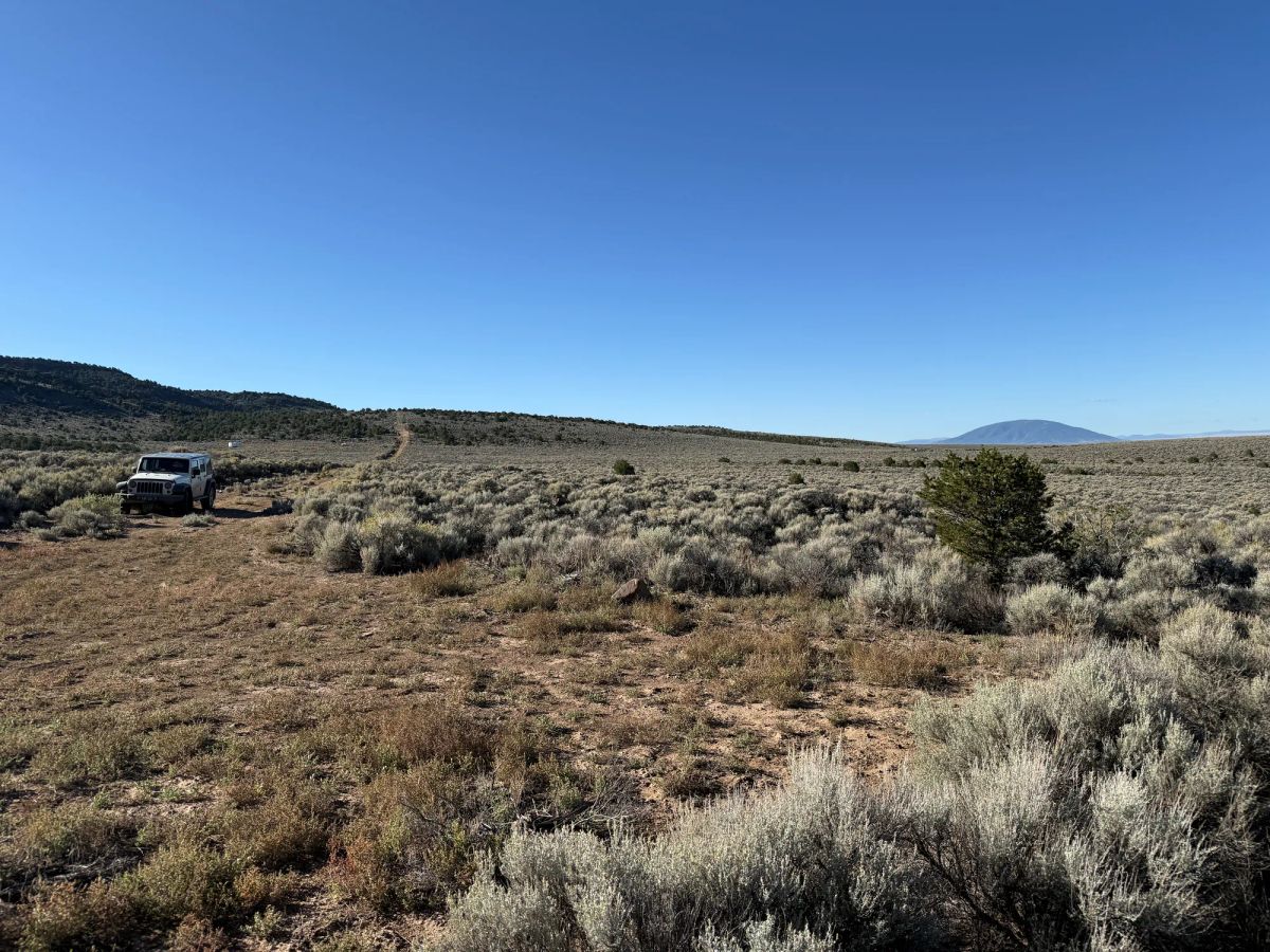 Decorative background for 3.3 Acres on Wild Horse Mesa image 5