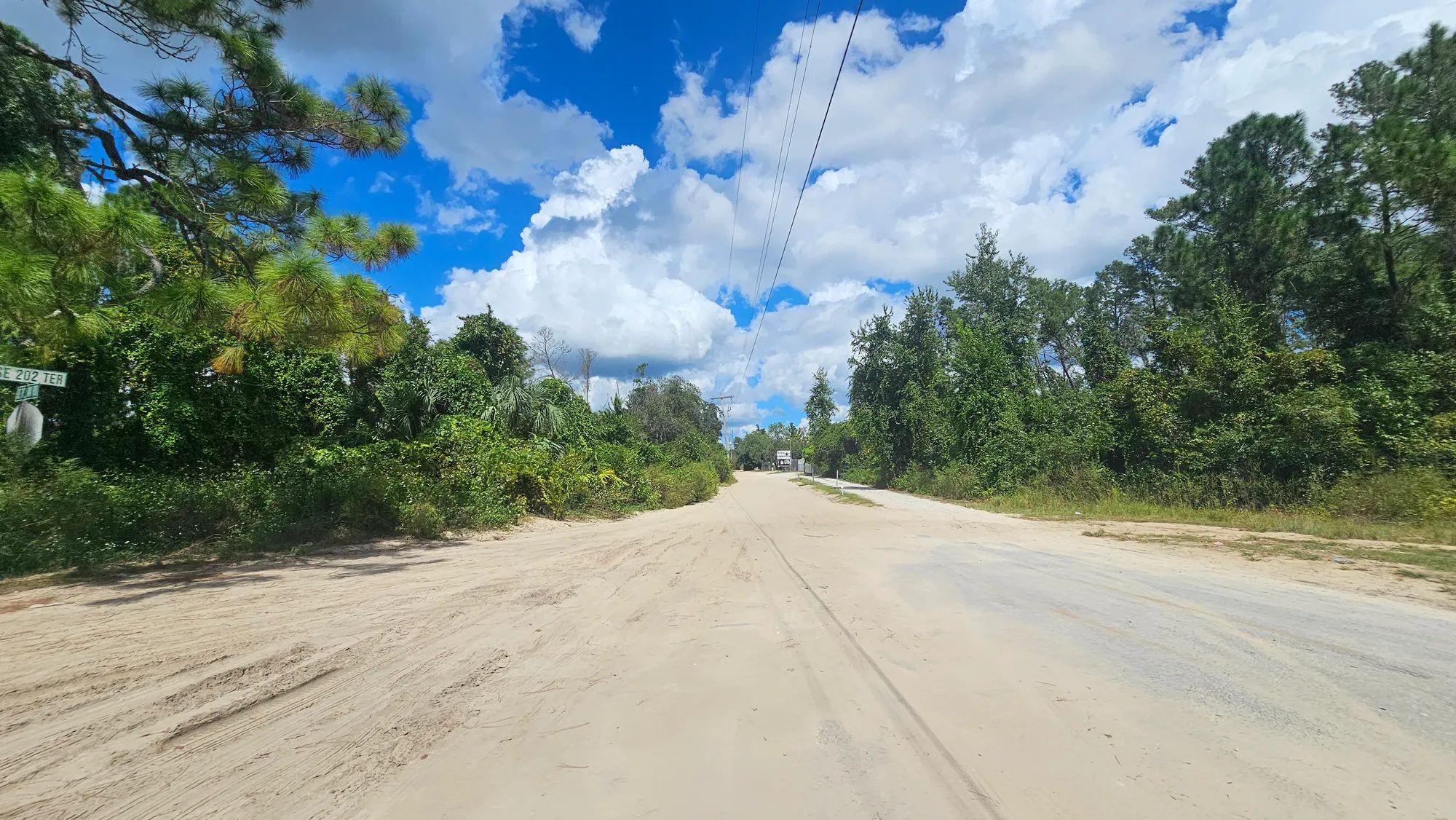 Wooded Lot Backing to Ocala National Forest in Marion County, FL