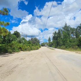 Wooded Lot Backing to Ocala National Forest in Marion County, FL