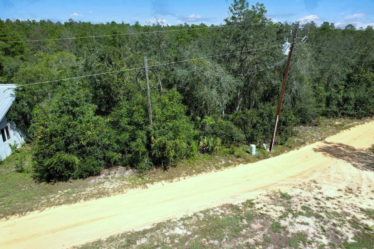 Wooded Lot Backing to Ocala National Forest - Image 4