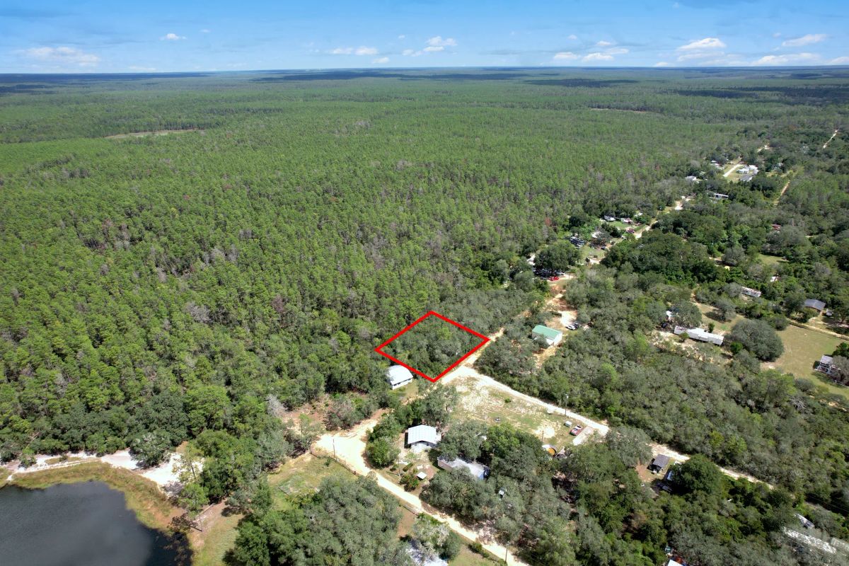 Wooded Lot Backing to Ocala National Forest - Main image