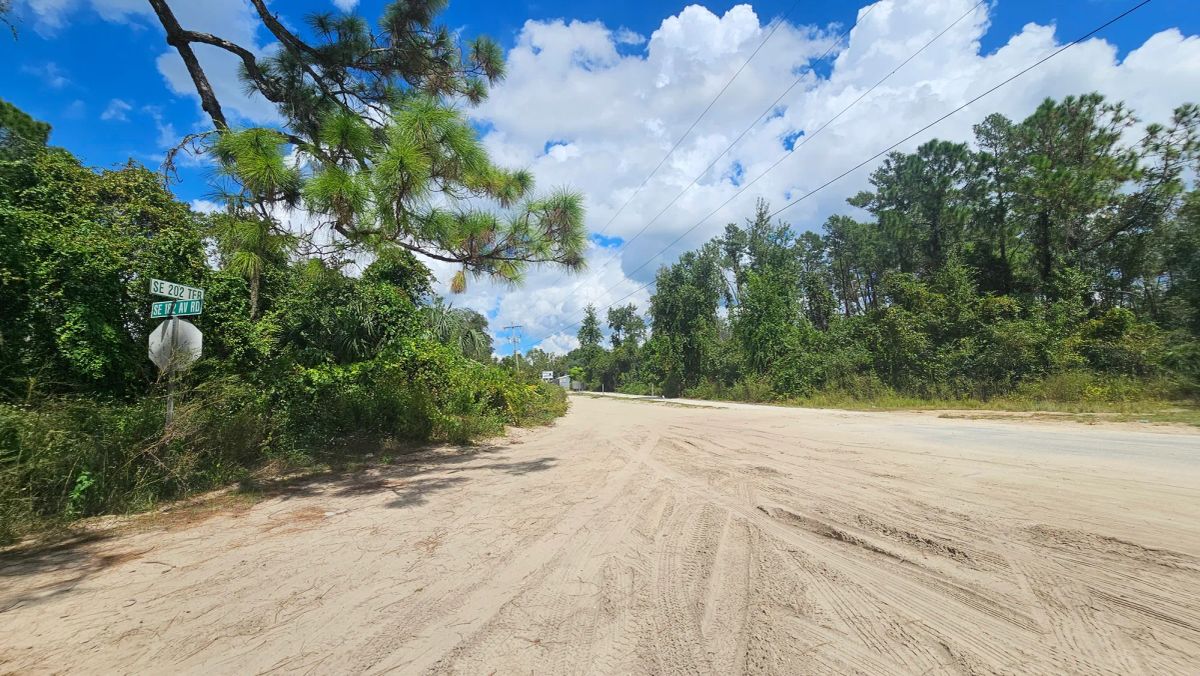 Wooded Lot Backing to Ocala National Forest - Image 2