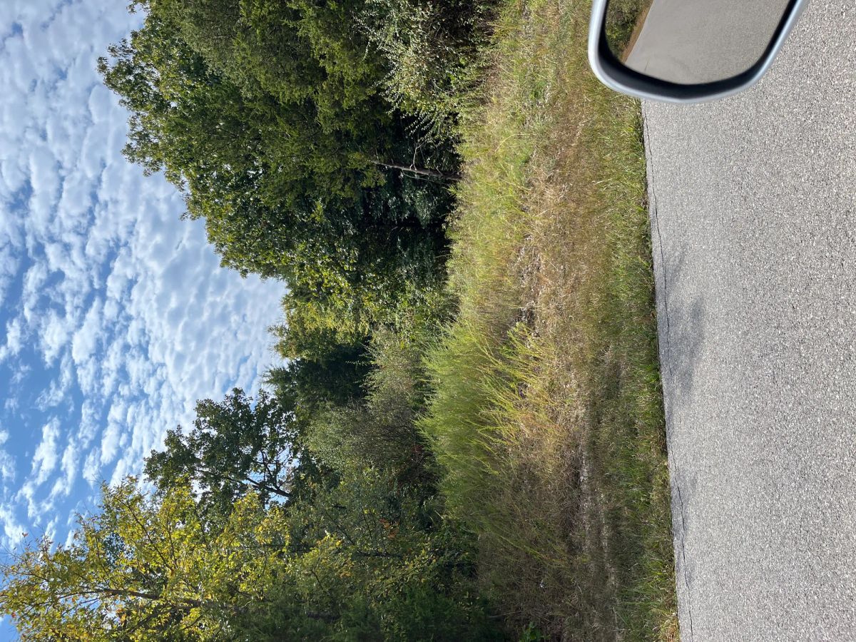 Decorative background for Walk to the Course — Live Where Every Day Feels Like Saturday image 10