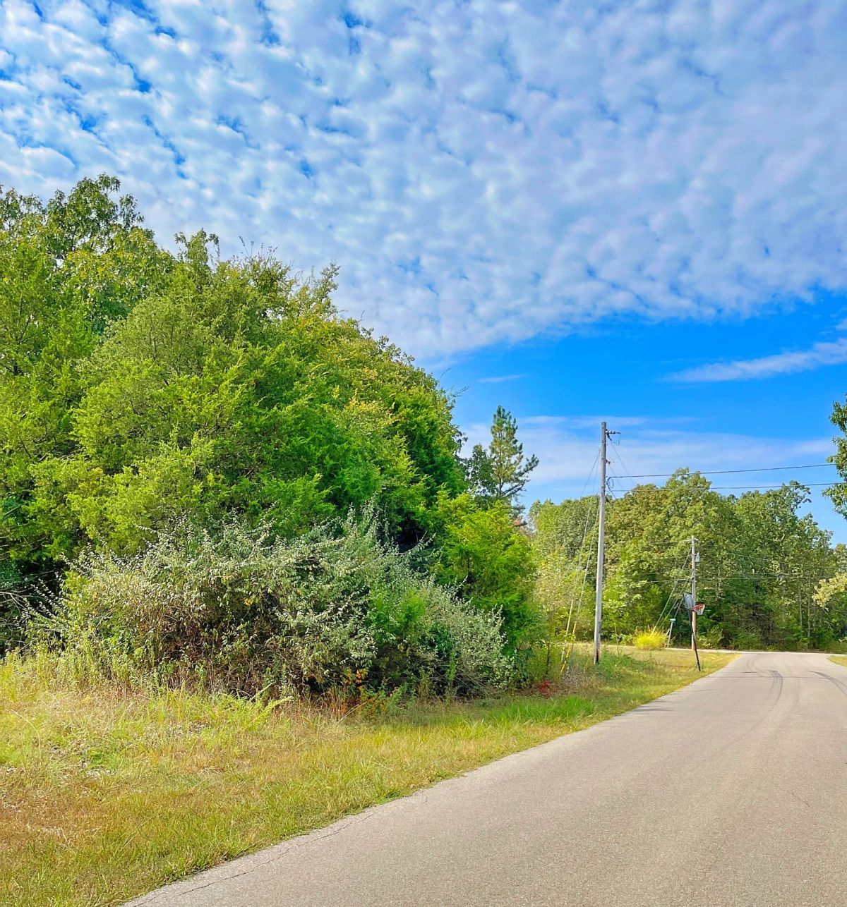 Walk to the Course — Live Where Every Day Feels Like Saturday - Image 2