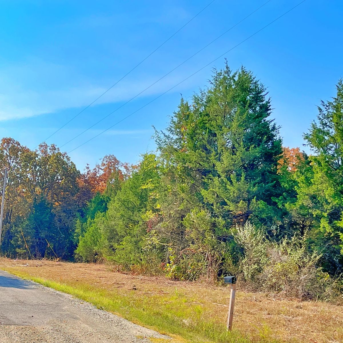 Decorative background for Walk to the Course — Live Where Every Day Feels Like Saturday image 5