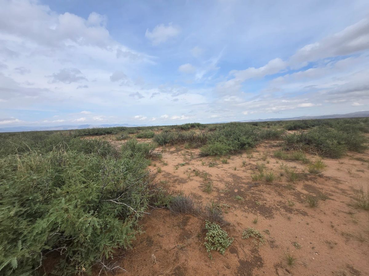 Decorative background for 10 Acres of West Texas Freedom – Van Horn Area image 14