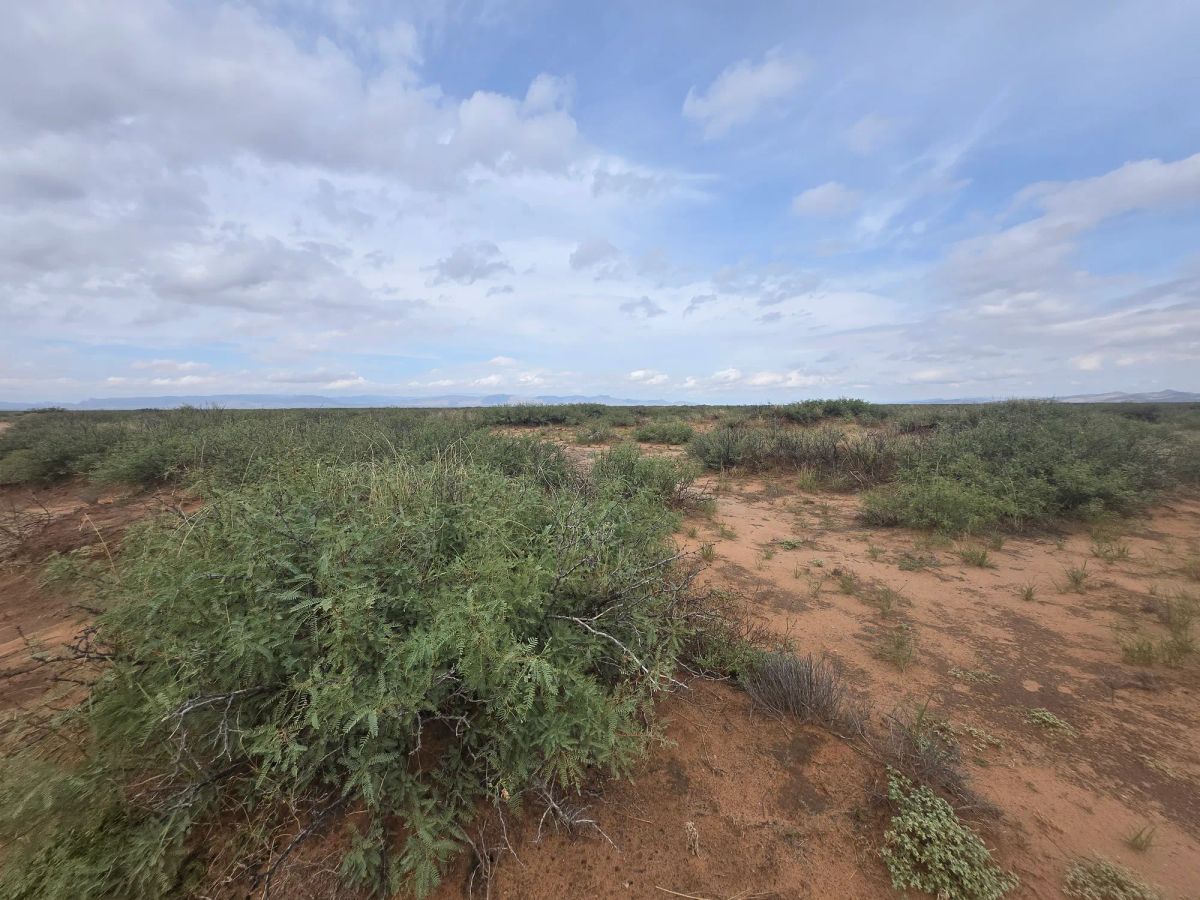 Decorative background for 10 Acres of West Texas Freedom – Van Horn Area image 15