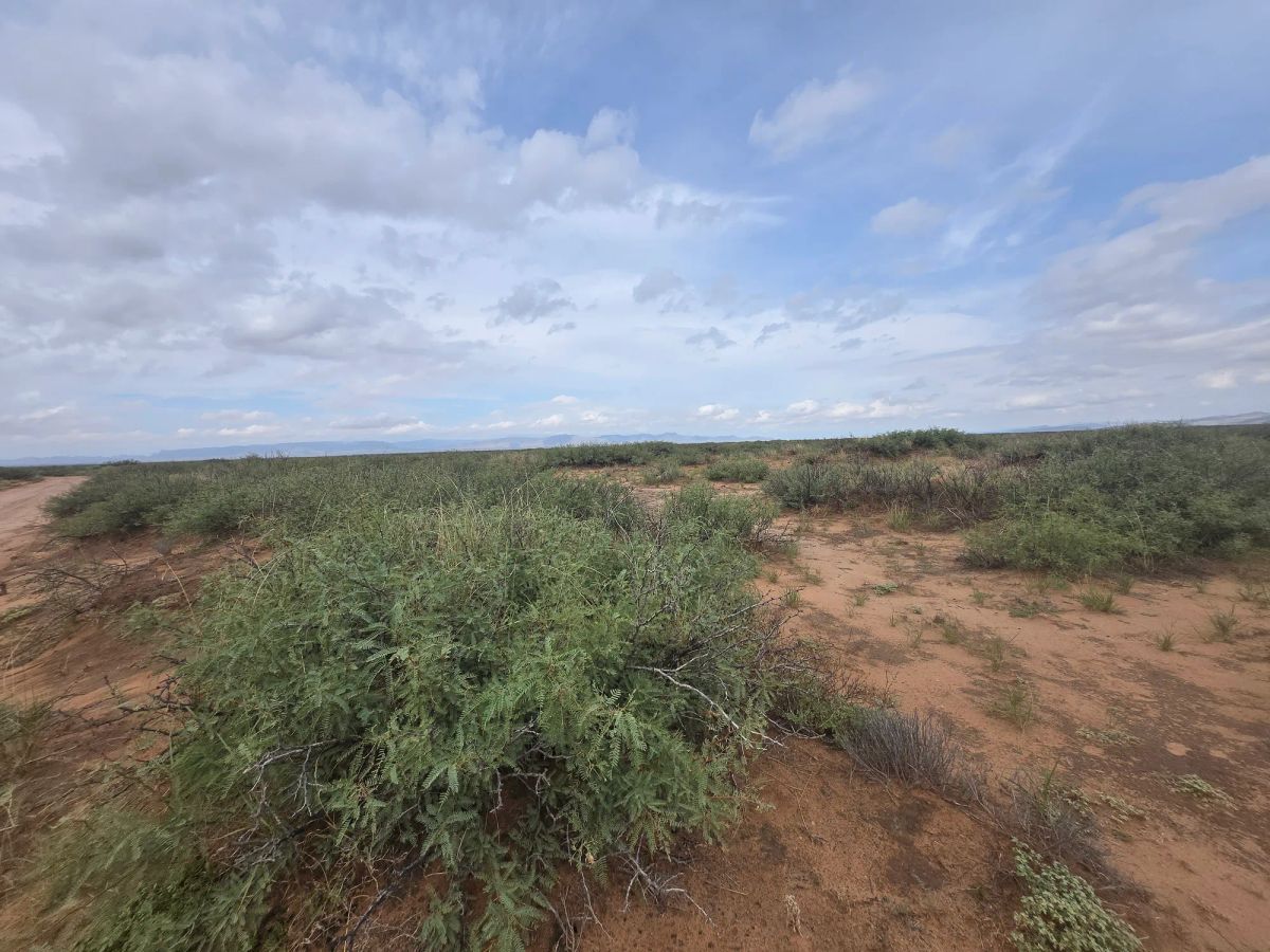 Decorative background for 10 Acres of West Texas Freedom – Van Horn Area image 16