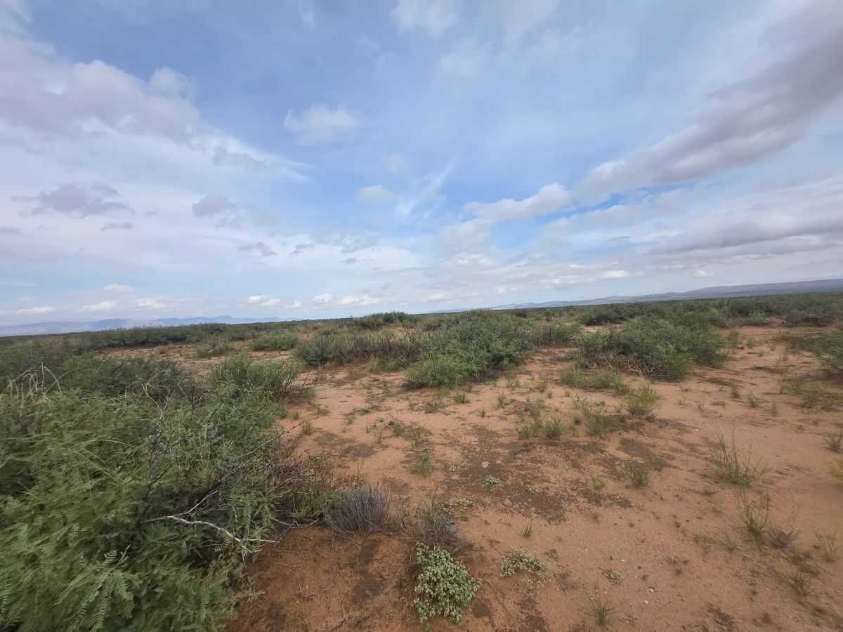 Decorative background for 10 Acres of West Texas Freedom – Van Horn Area image 17