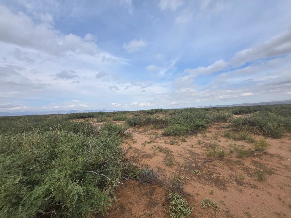 Decorative background for 10 Acres of West Texas Freedom – Van Horn Area image 18