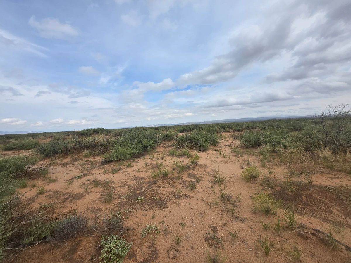 Decorative background for 10 Acres of West Texas Freedom – Van Horn Area image 19