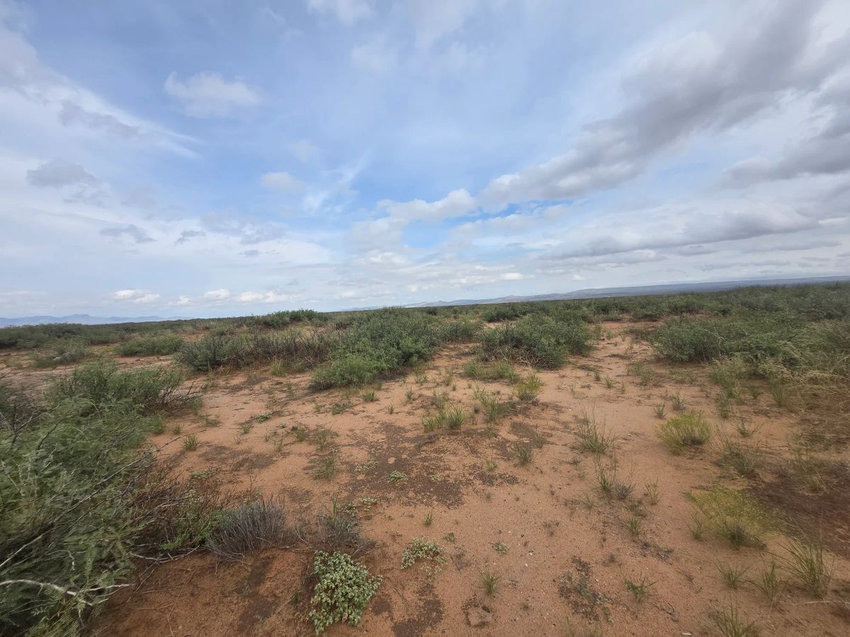 Decorative background for 10 Acres of West Texas Freedom – Van Horn Area image 20