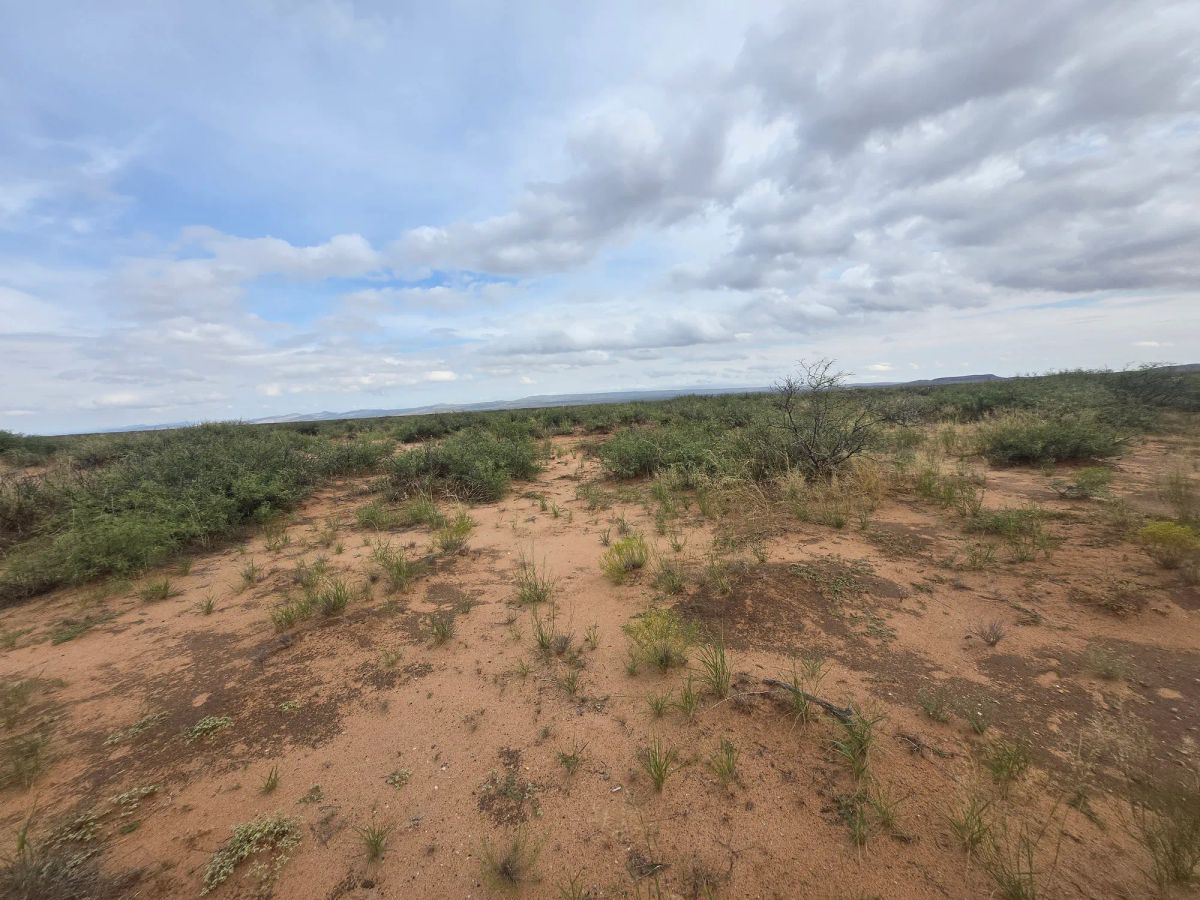 Decorative background for 10 Acres of West Texas Freedom – Van Horn Area image 21