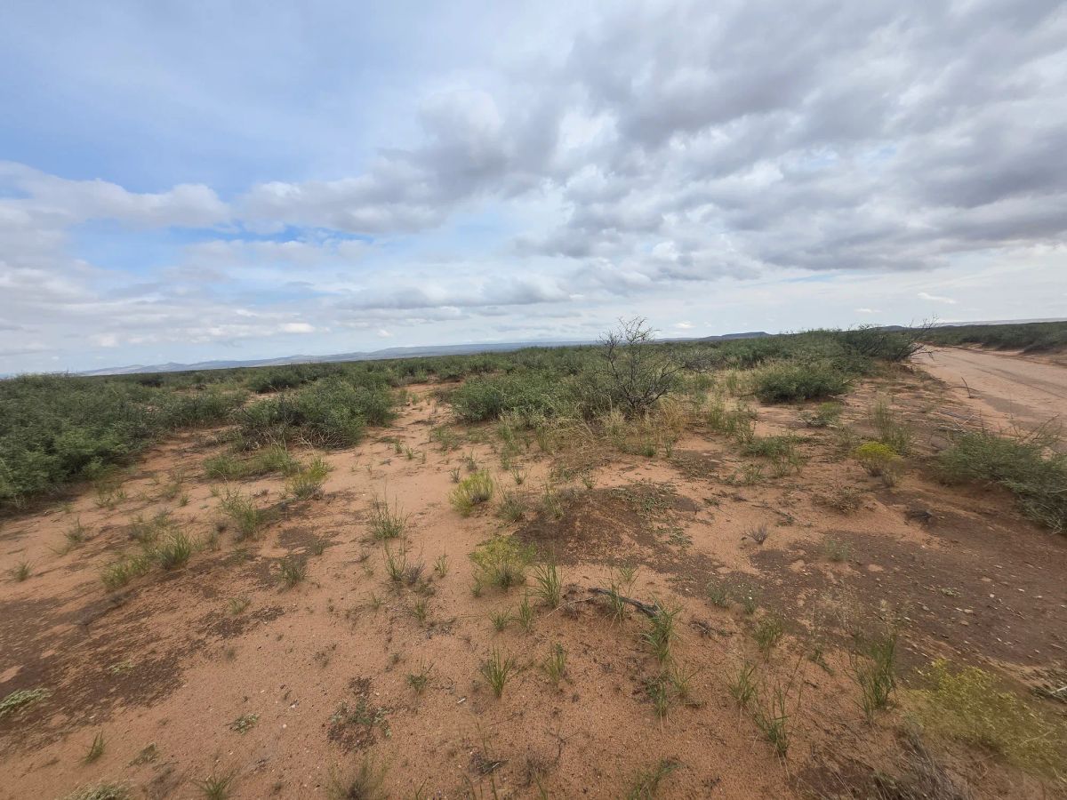 Decorative background for 10 Acres of West Texas Freedom – Van Horn Area image 22
