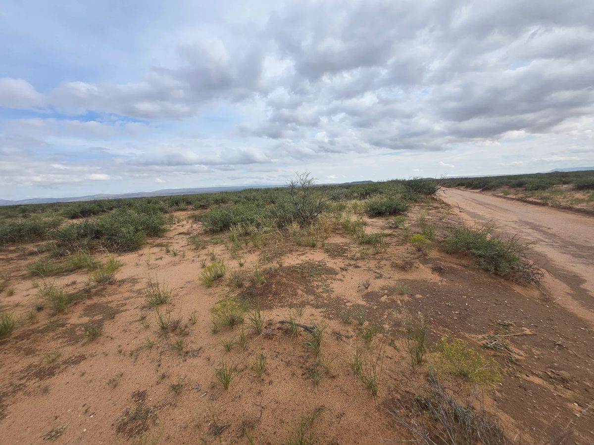 Decorative background for 10 Acres of West Texas Freedom – Van Horn Area image 23
