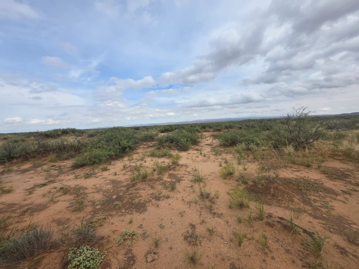 Decorative background for 10 Acres of West Texas Freedom – Van Horn Area image 24