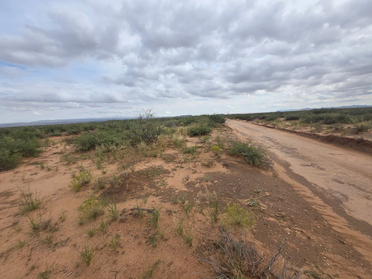 Decorative background for 10 Acres of West Texas Freedom – Van Horn Area image 25