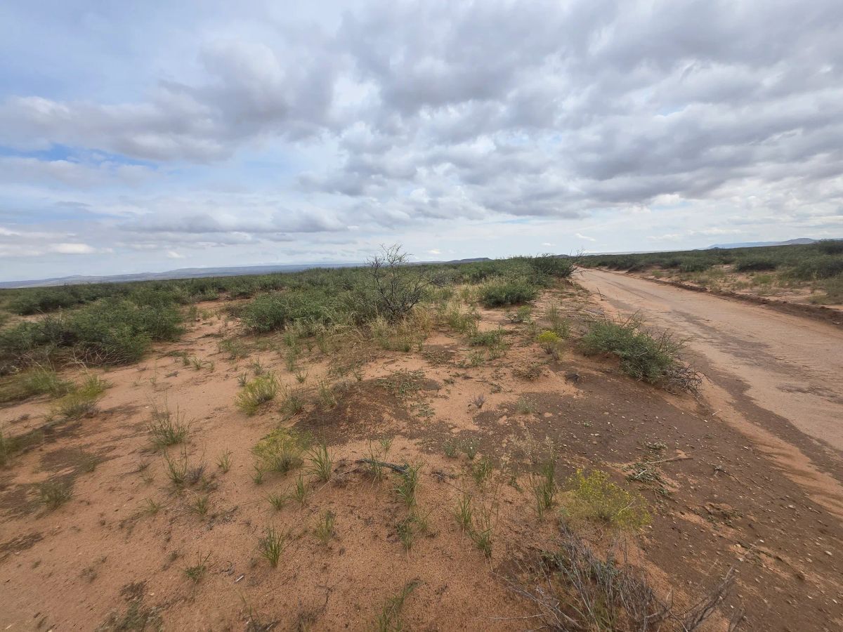 Decorative background for 10 Acres of West Texas Freedom – Van Horn Area image 26