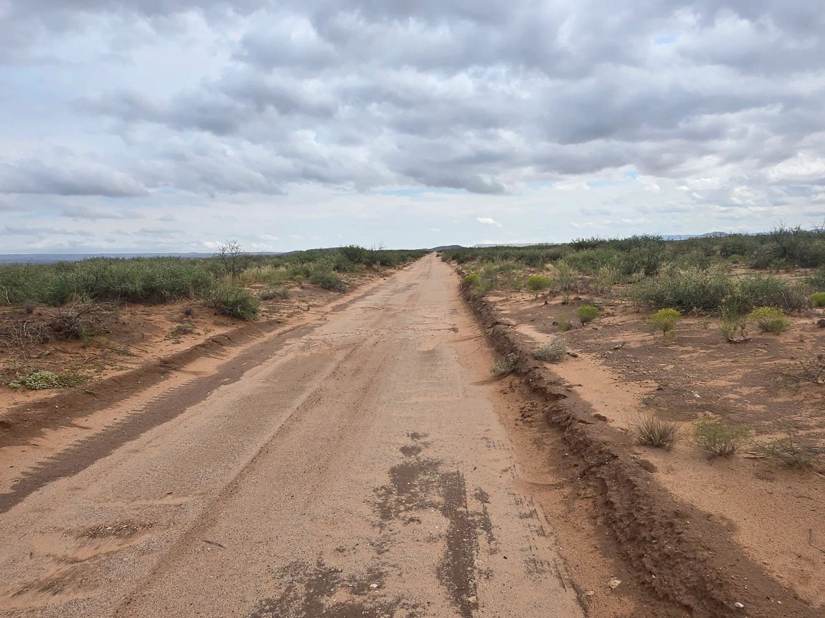 10 Acres of West Texas Freedom – Van Horn Area - Main image