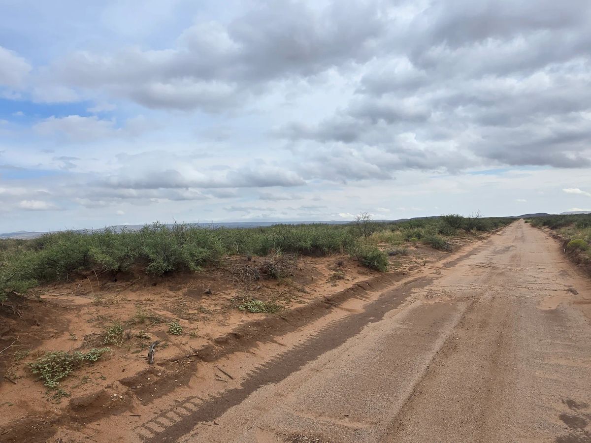 10 Acres of West Texas Freedom – Van Horn Area - Image 2