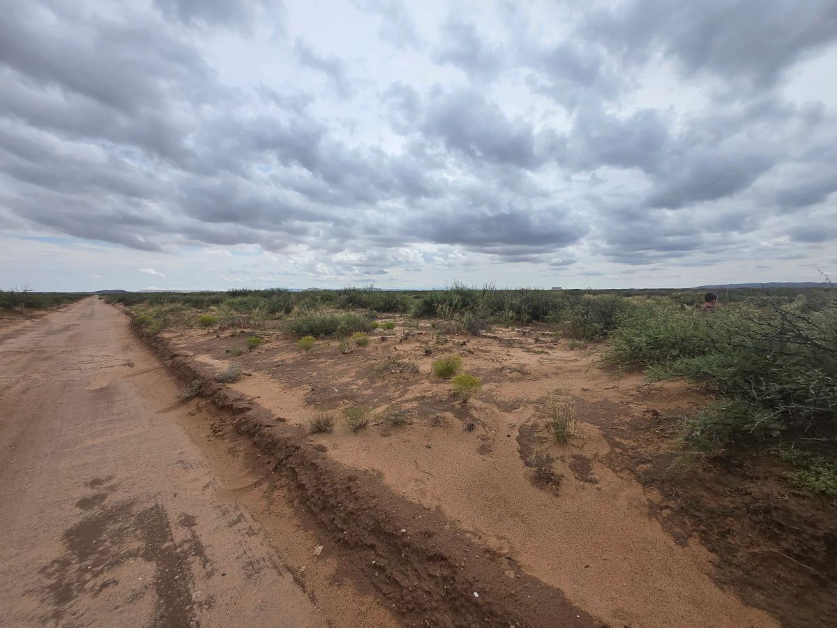 10 Acres of West Texas Freedom – Van Horn Area - Image 3