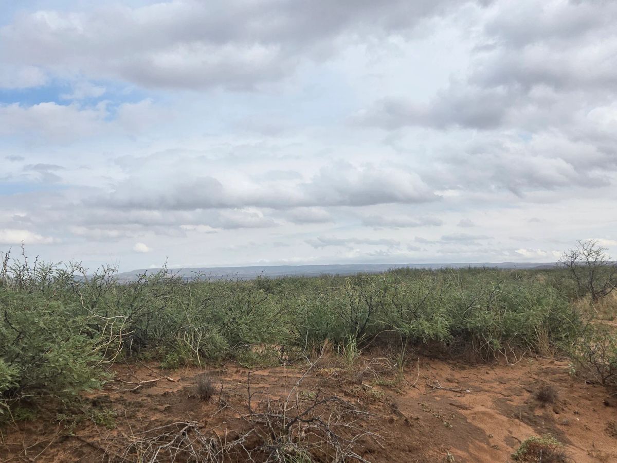 Decorative background for 10 Acres of West Texas Freedom – Van Horn Area image 5