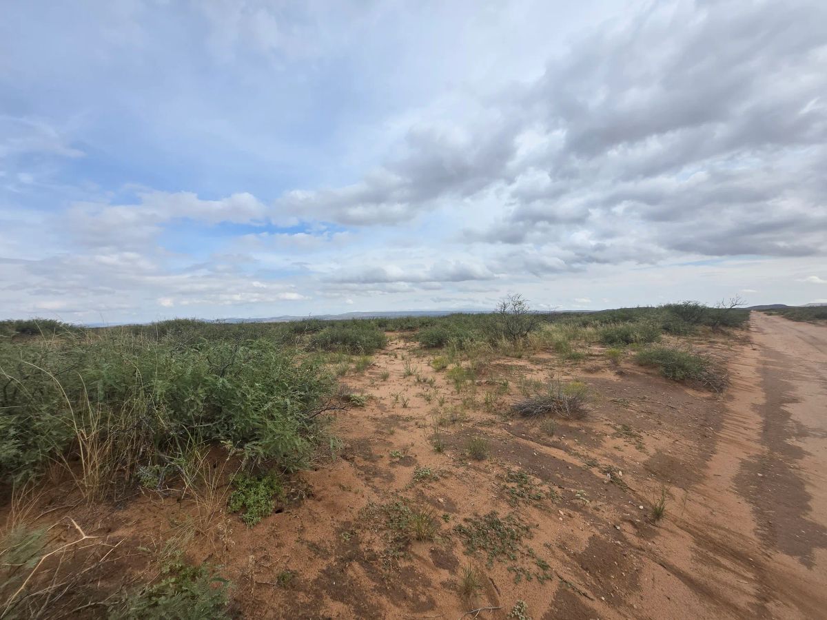 Decorative background for 10 Acres of West Texas Freedom – Van Horn Area image 6