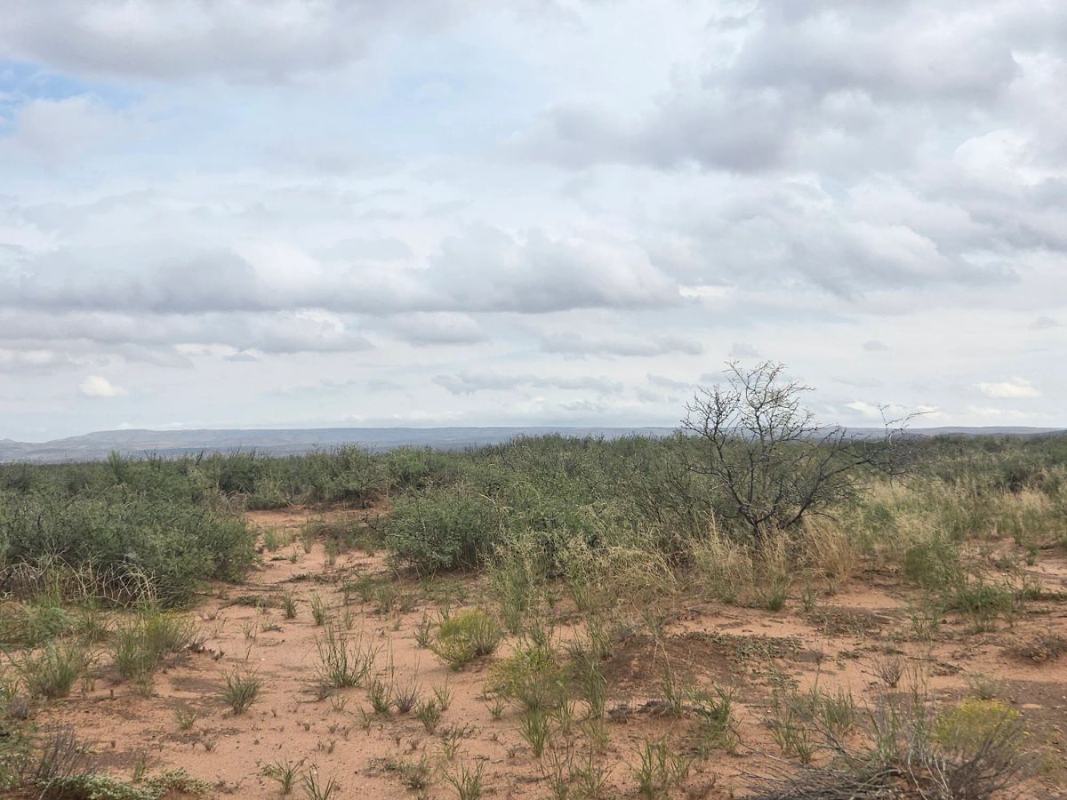 Decorative background for 10 Acres of West Texas Freedom – Van Horn Area image 7