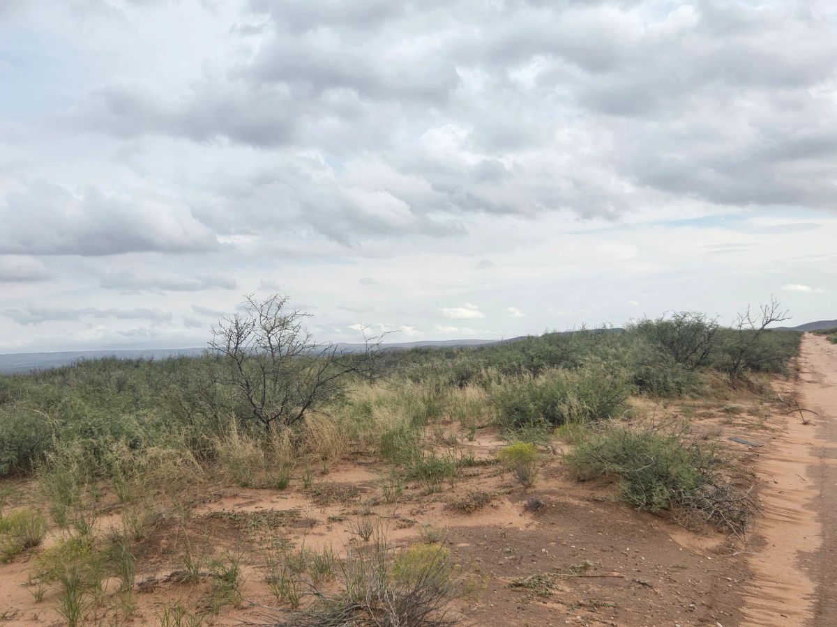 Decorative background for 10 Acres of West Texas Freedom – Van Horn Area image 8
