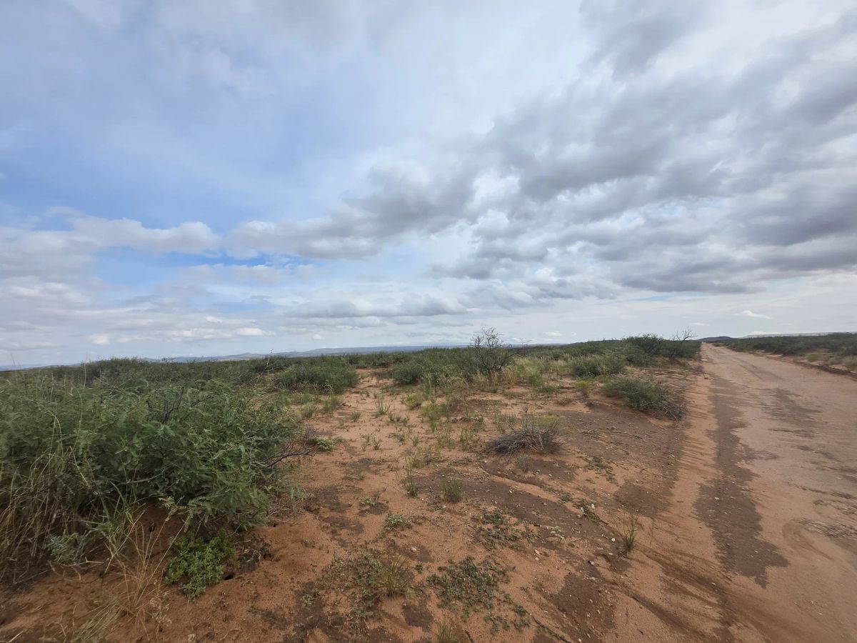 Decorative background for 10 Acres of West Texas Freedom – Van Horn Area image 10