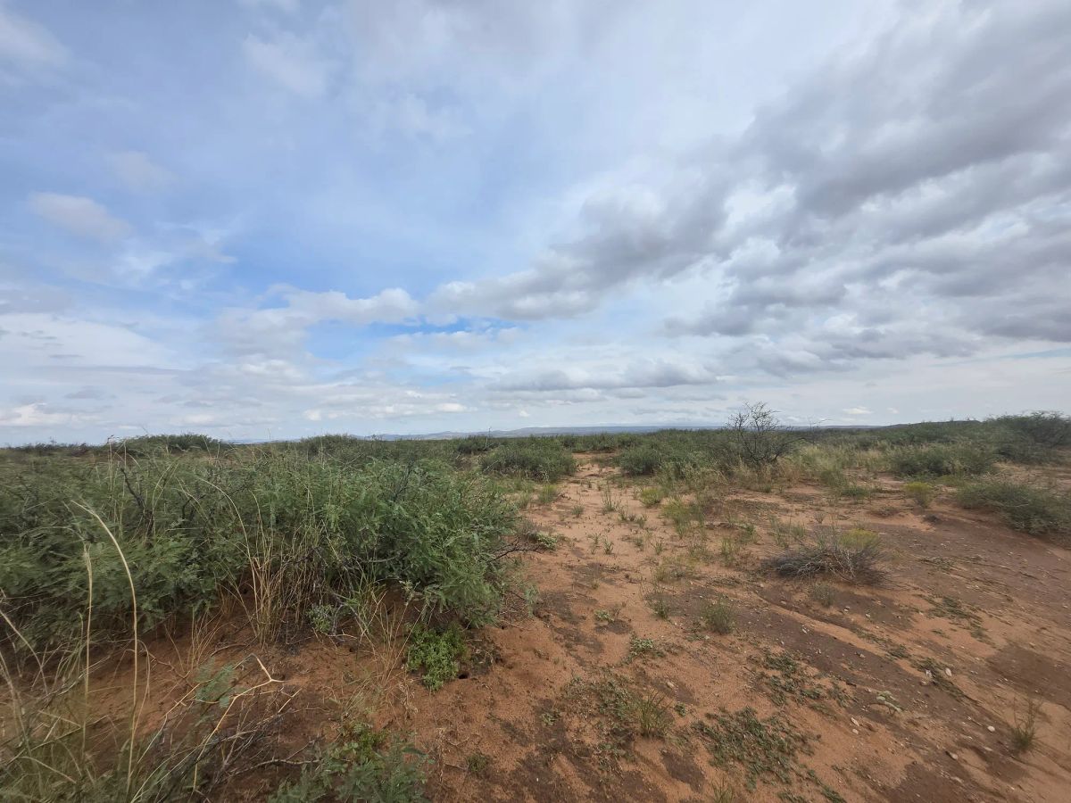 Decorative background for 10 Acres of West Texas Freedom – Van Horn Area image 11