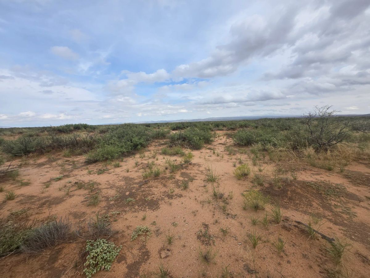 Decorative background for 10 Acres of West Texas Freedom – Van Horn Area image 12