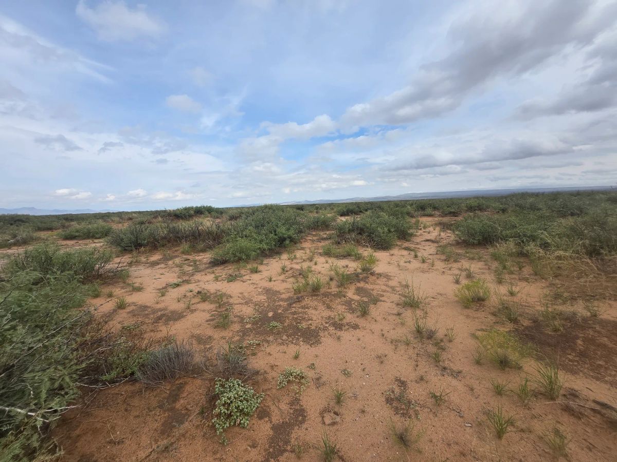 Decorative background for 10 Acres of West Texas Freedom – Van Horn Area image 13