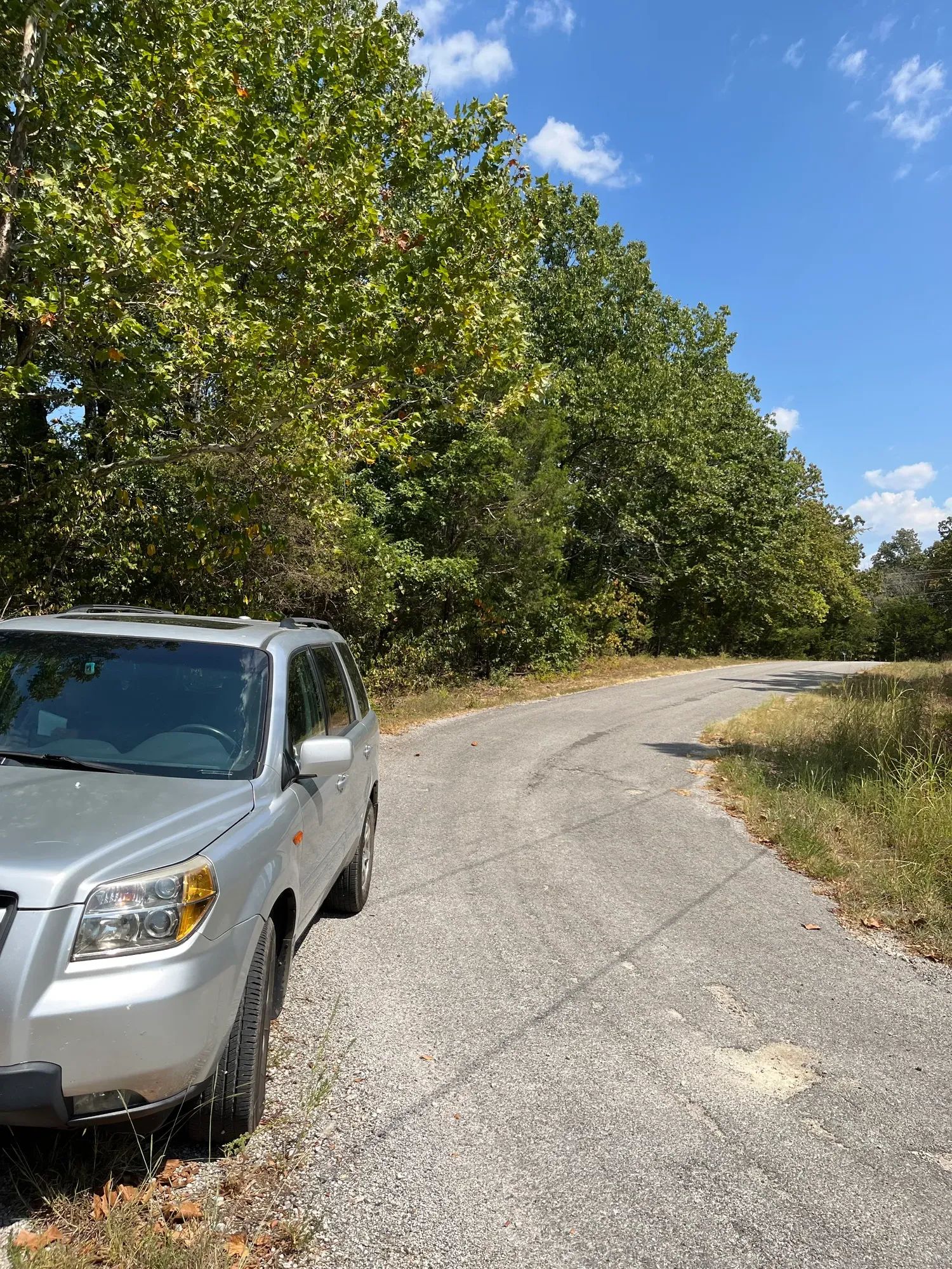 Treehouse Vibes… 1 Mile from Groceries in Izard County, AR