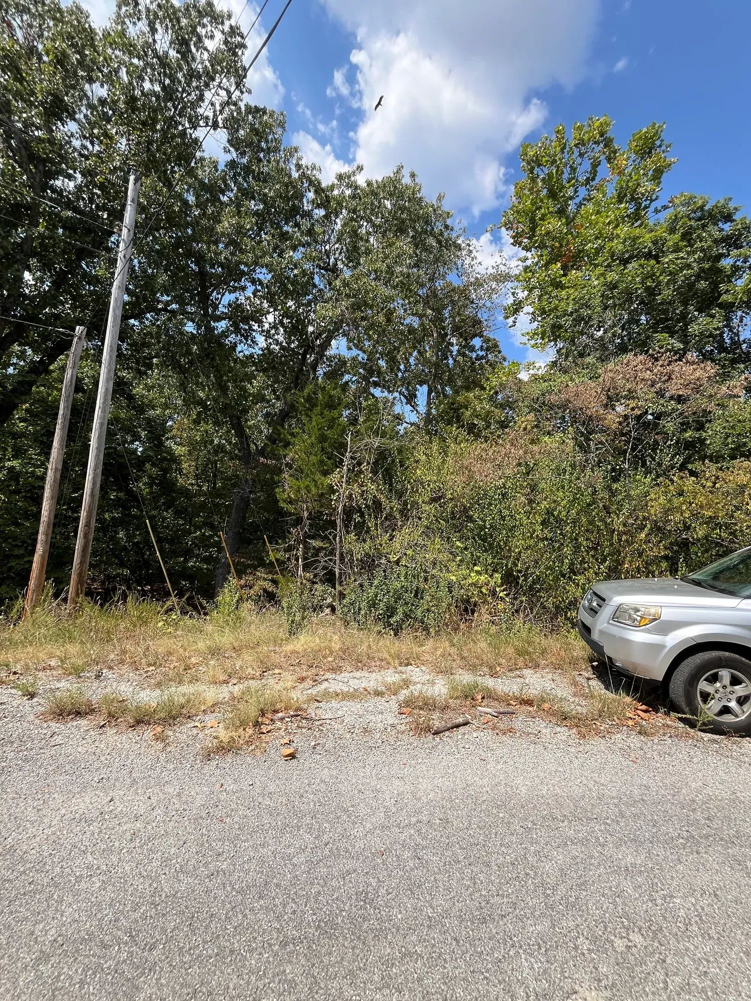 Treehouse Vibes… 1 Mile from Groceries in Izard County, AR