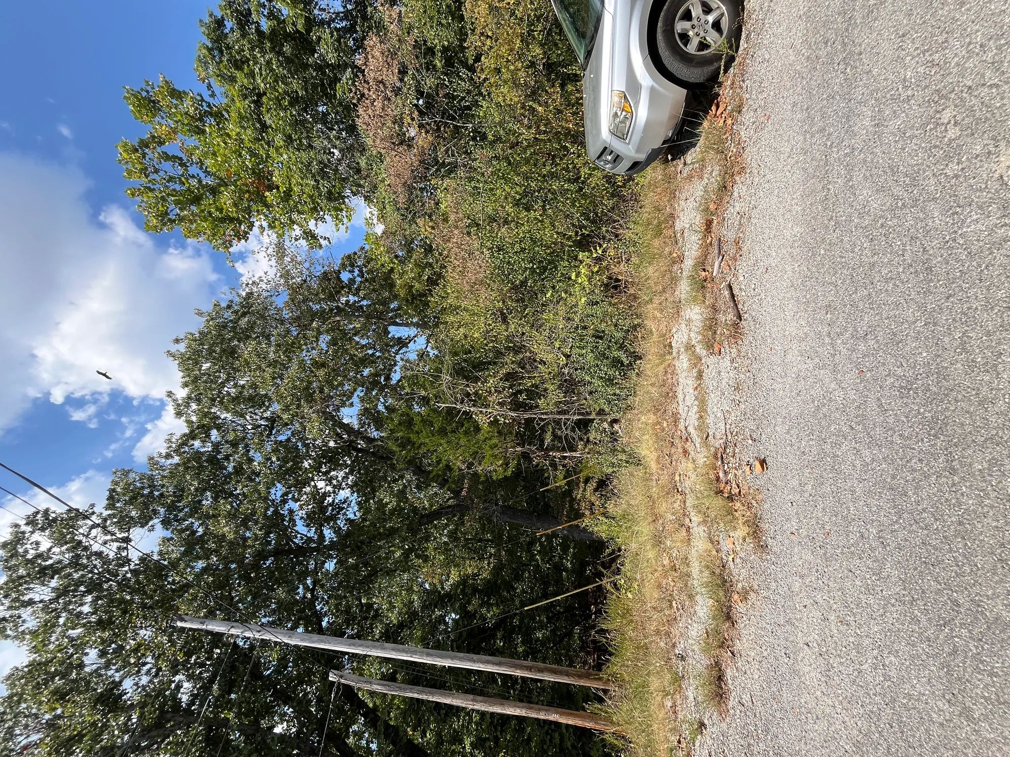 Treehouse Vibes… 1 Mile from Groceries in Izard County, AR