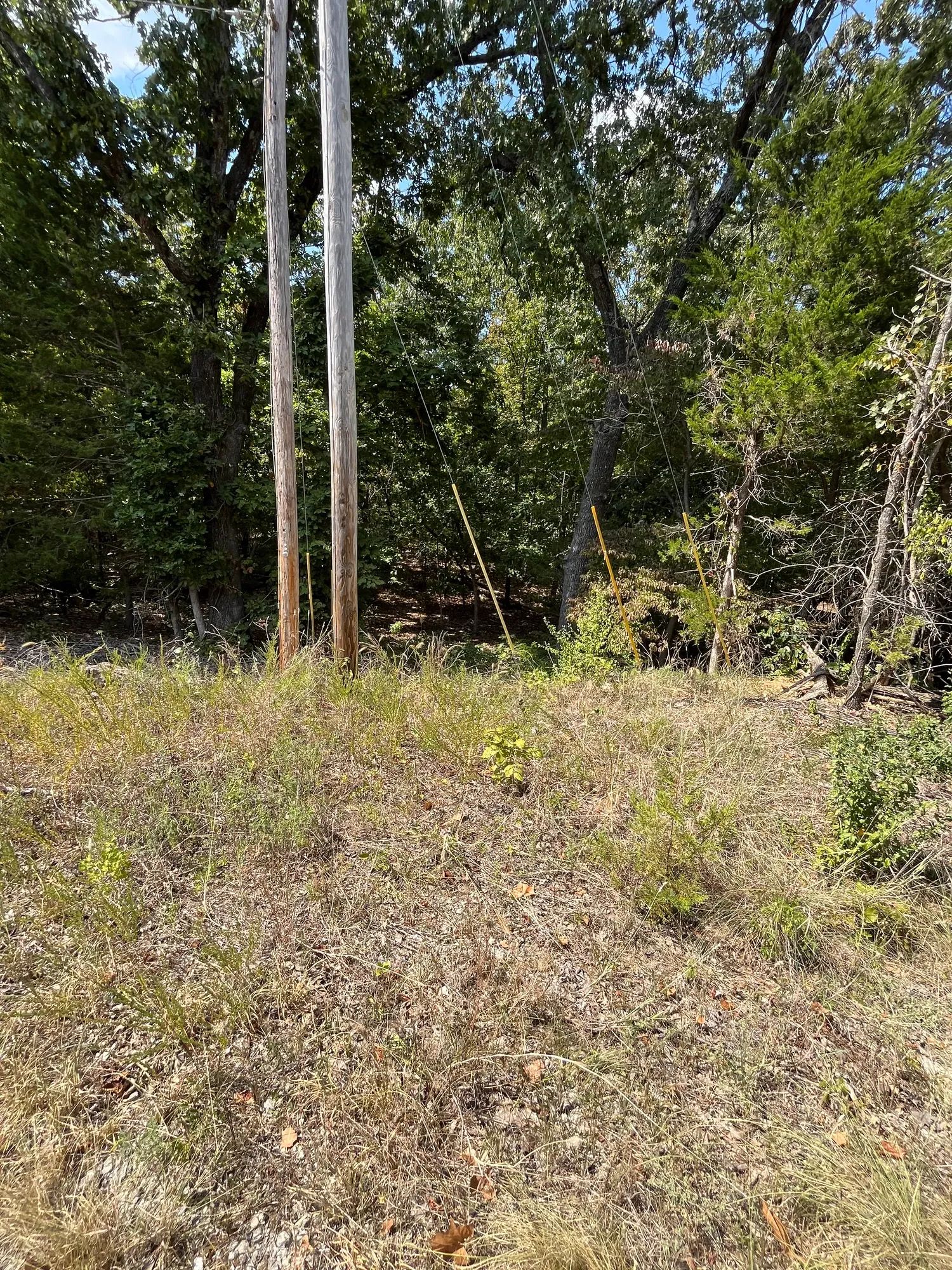 Treehouse Vibes… 1 Mile from Groceries in Izard County, AR