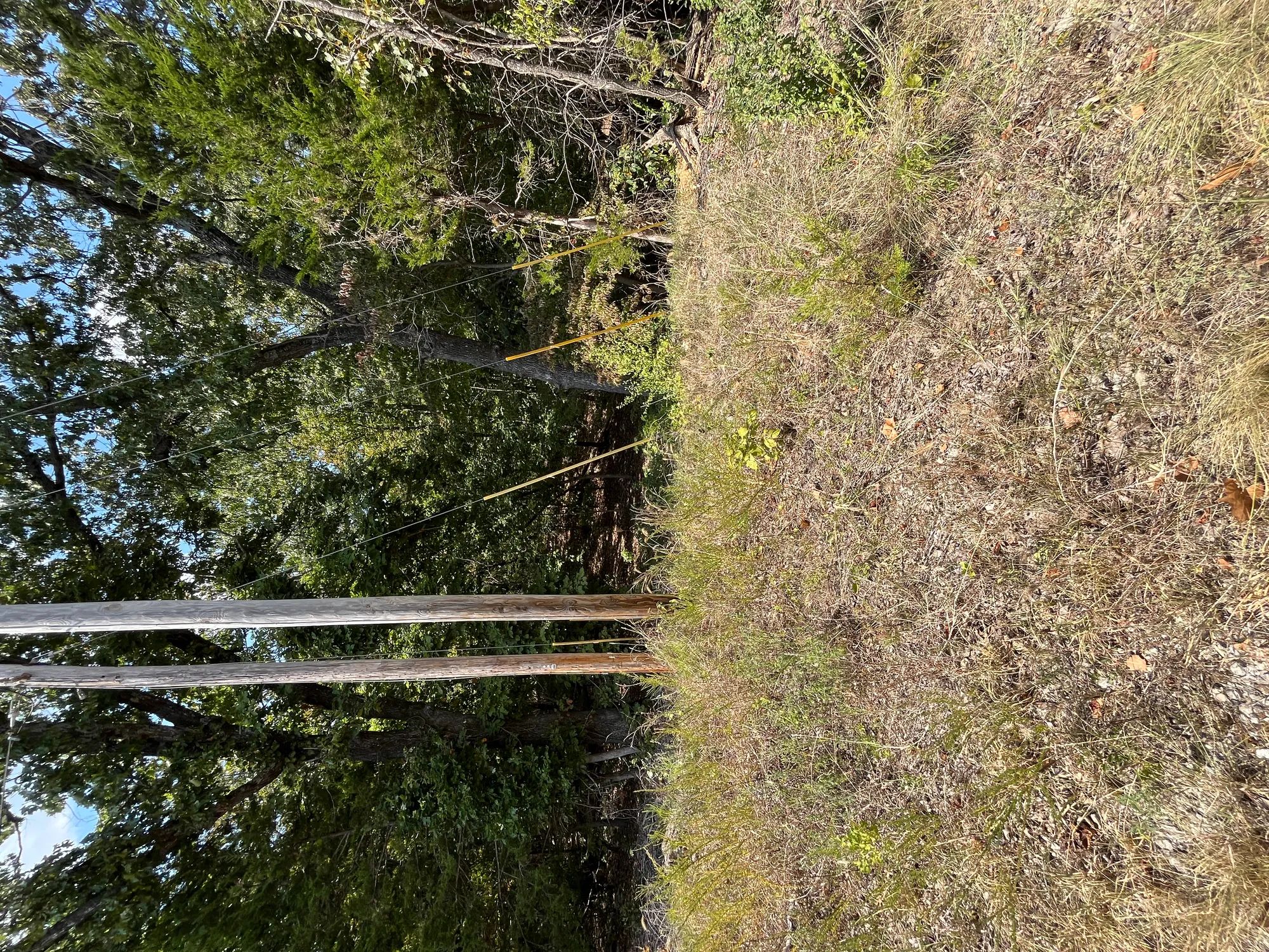 Treehouse Vibes… 1 Mile from Groceries in Izard County, AR