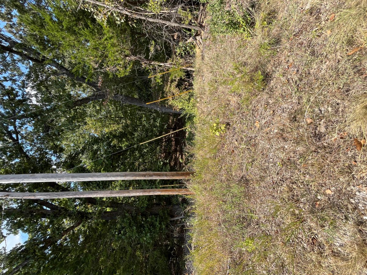 Treehouse Vibes… 1 Mile from Groceries - Image 4