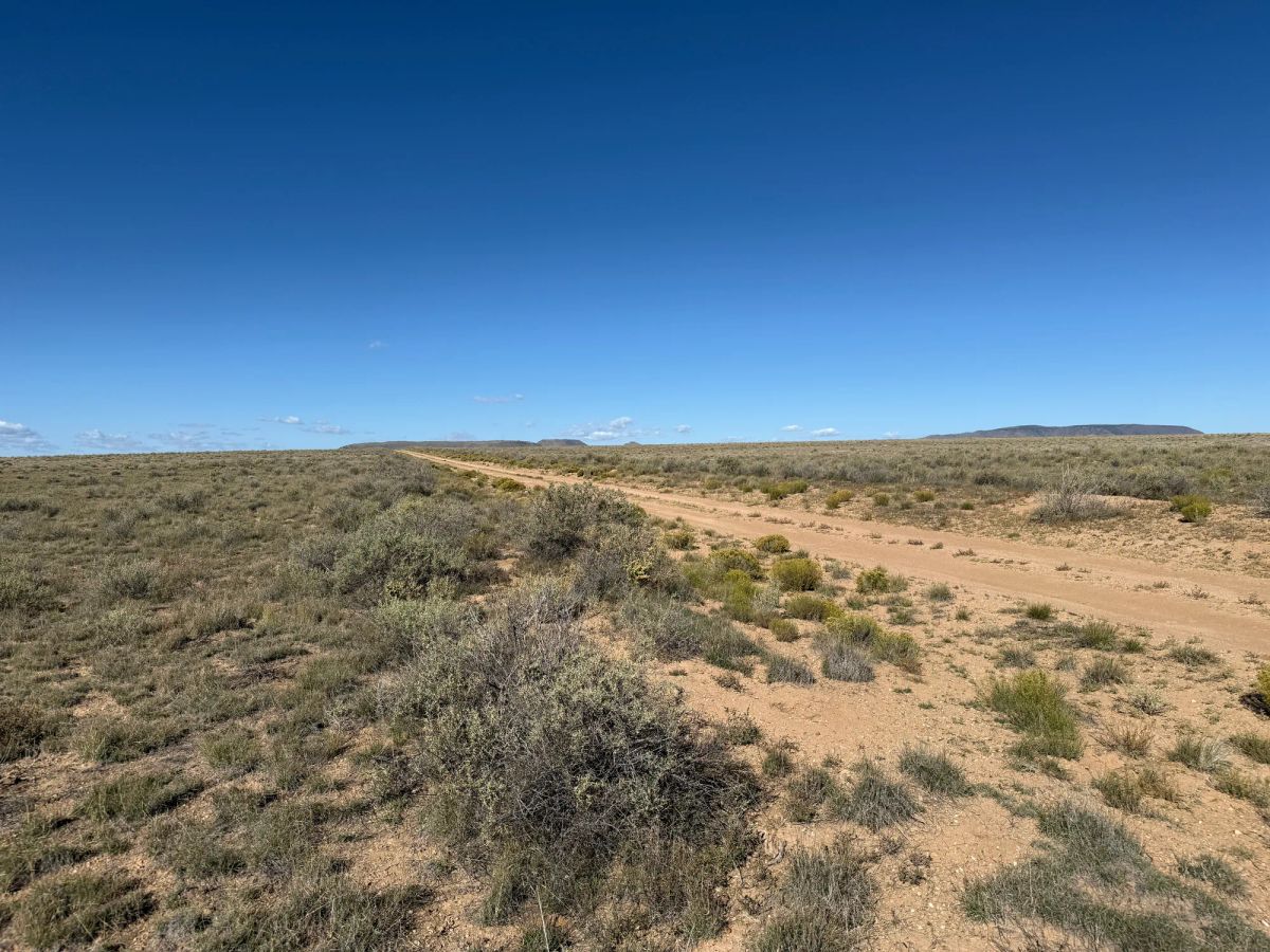 Decorative background for Your Colorado Basecamp: 5 Acres Beneath the Sangre de Cristos image 17