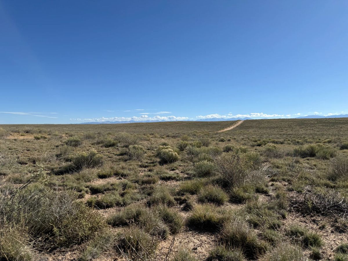 Decorative background for Your Colorado Basecamp: 5 Acres Beneath the Sangre de Cristos image 18