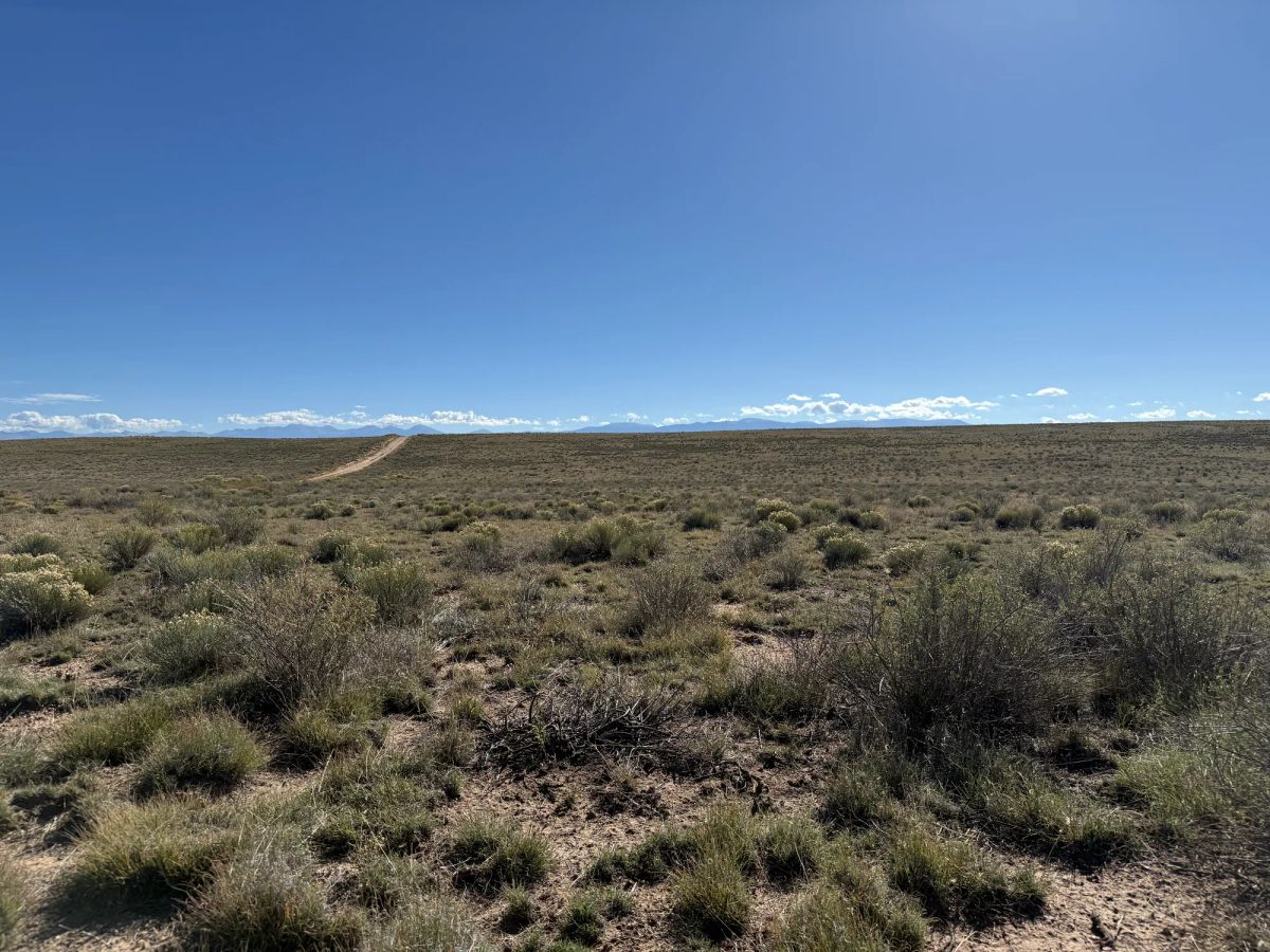 Decorative background for Your Colorado Basecamp: 5 Acres Beneath the Sangre de Cristos image 19