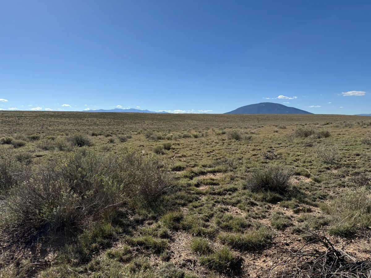 Decorative background for Your Colorado Basecamp: 5 Acres Beneath the Sangre de Cristos image 20