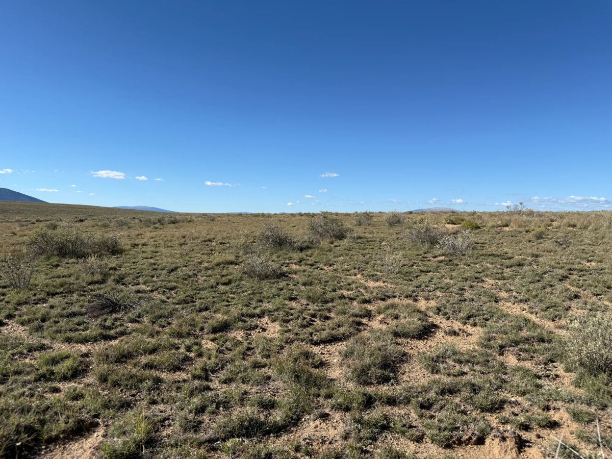 Decorative background for Your Colorado Basecamp: 5 Acres Beneath the Sangre de Cristos image 21