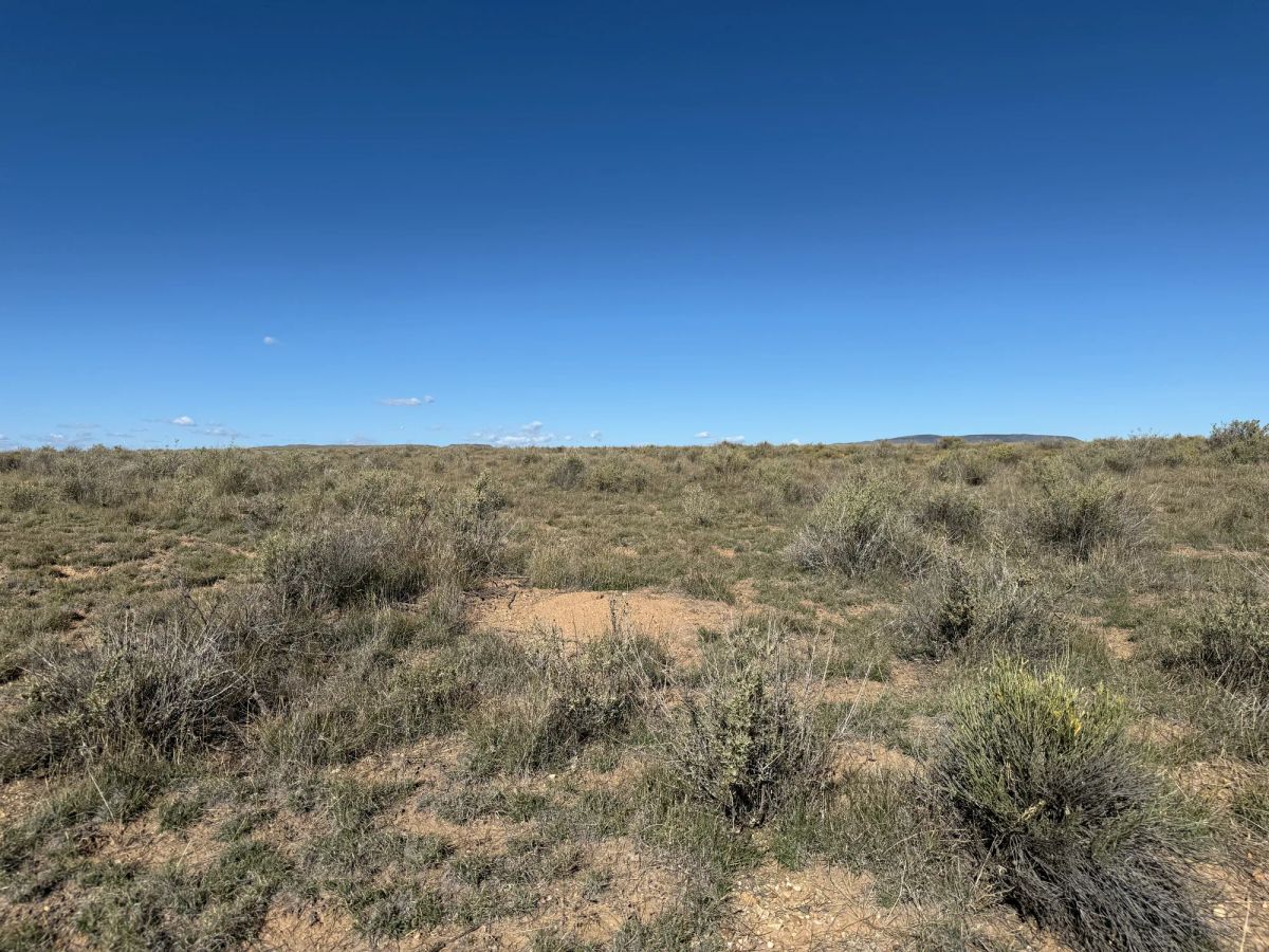 Decorative background for Your Colorado Basecamp: 5 Acres Beneath the Sangre de Cristos image 22