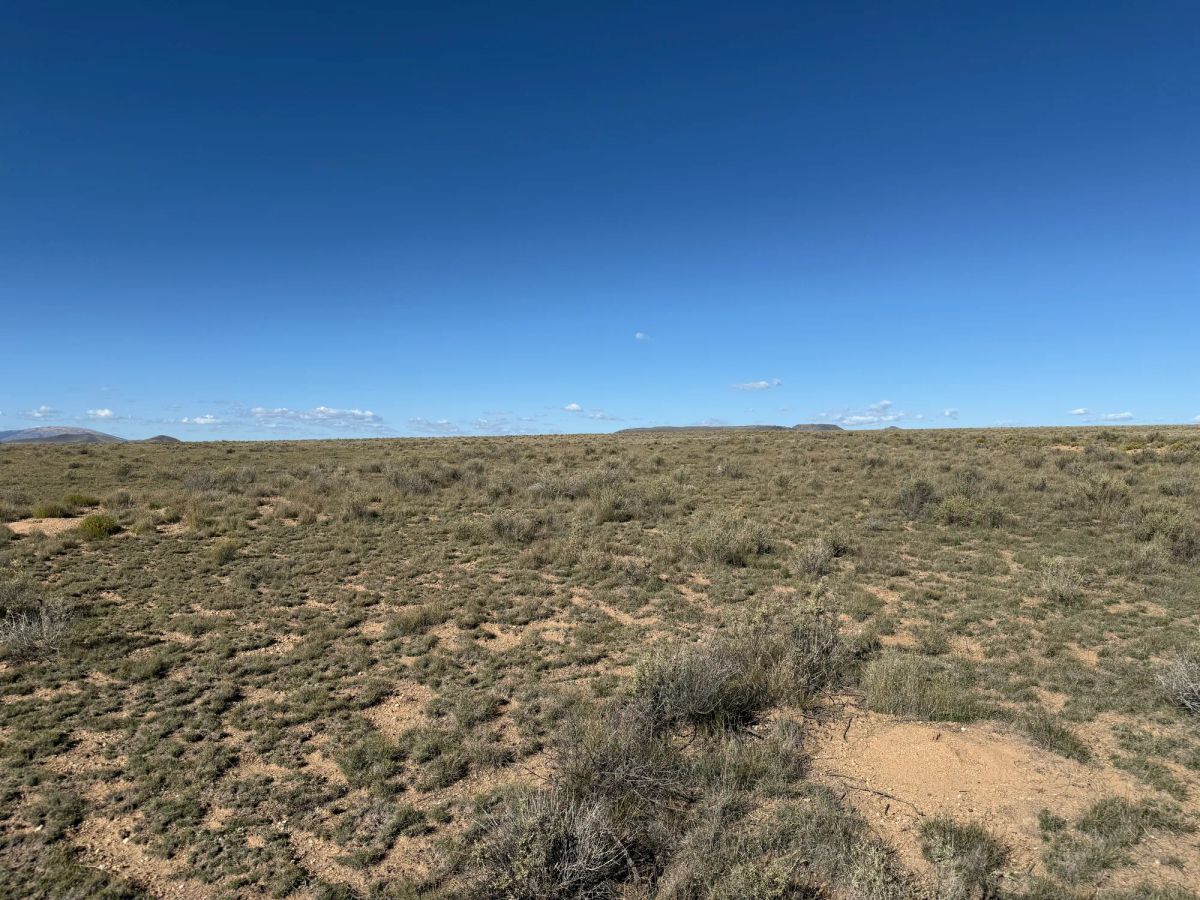 Decorative background for Your Colorado Basecamp: 5 Acres Beneath the Sangre de Cristos image 23